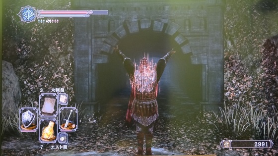 dark_souls_181.JPG